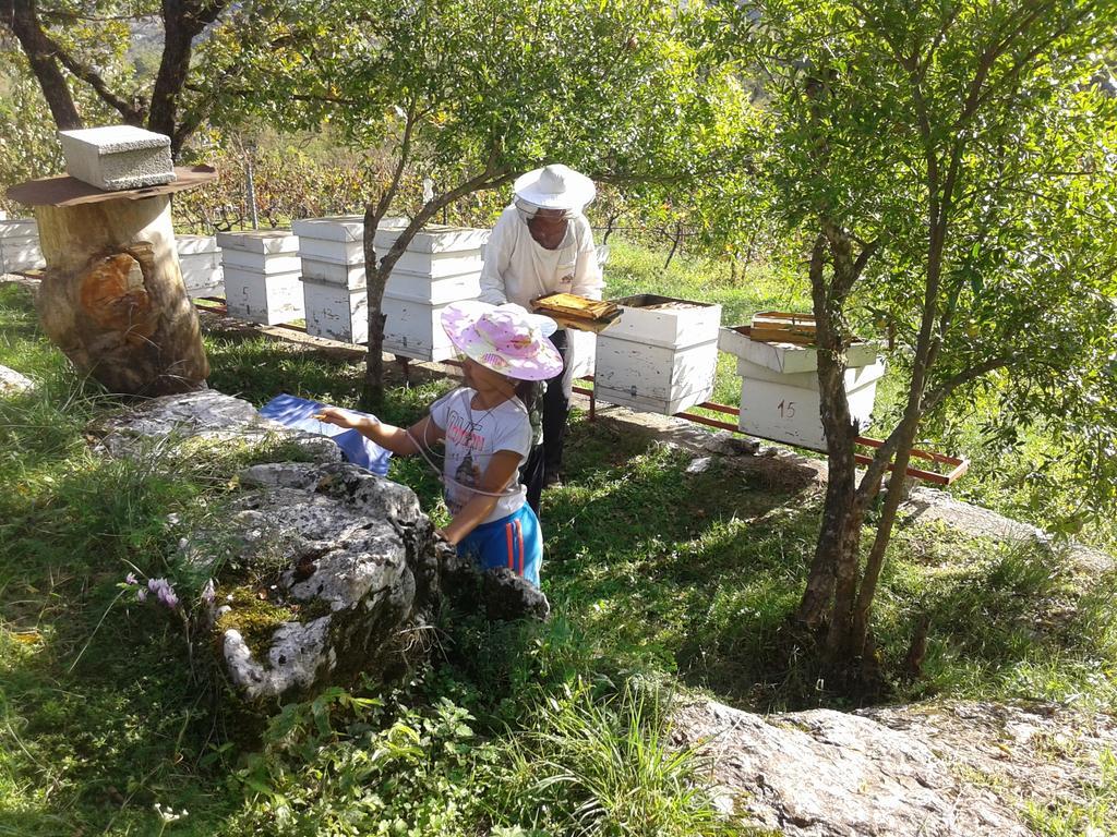 Village House - Novak Rijecani Rijeka Crnojevica Luaran gambar