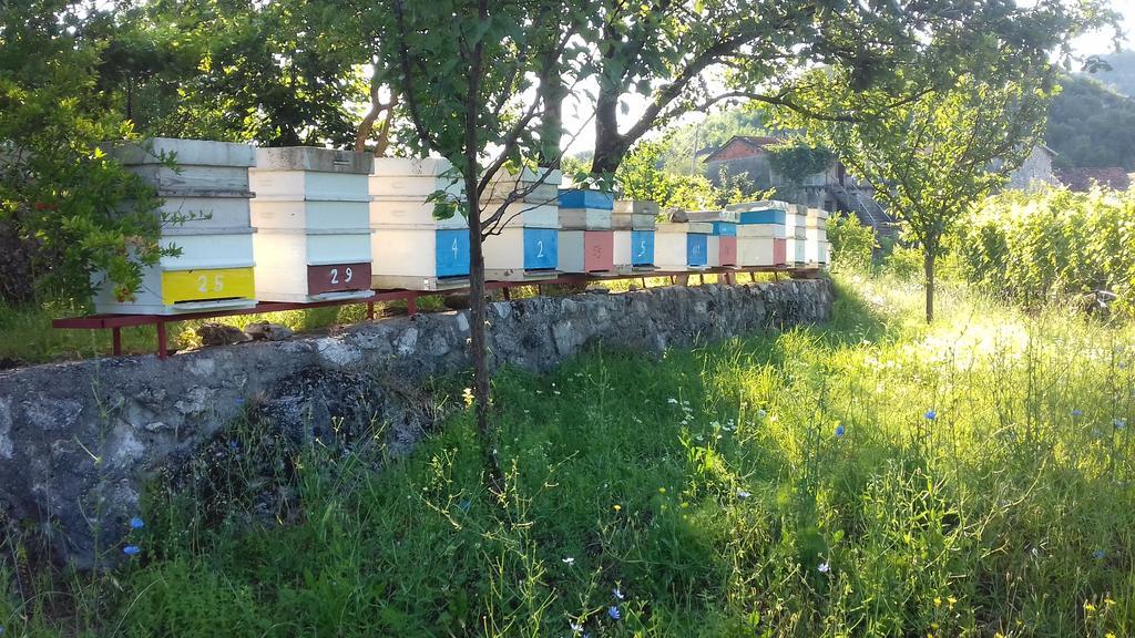 Village House - Novak Rijecani Rijeka Crnojevica Luaran gambar